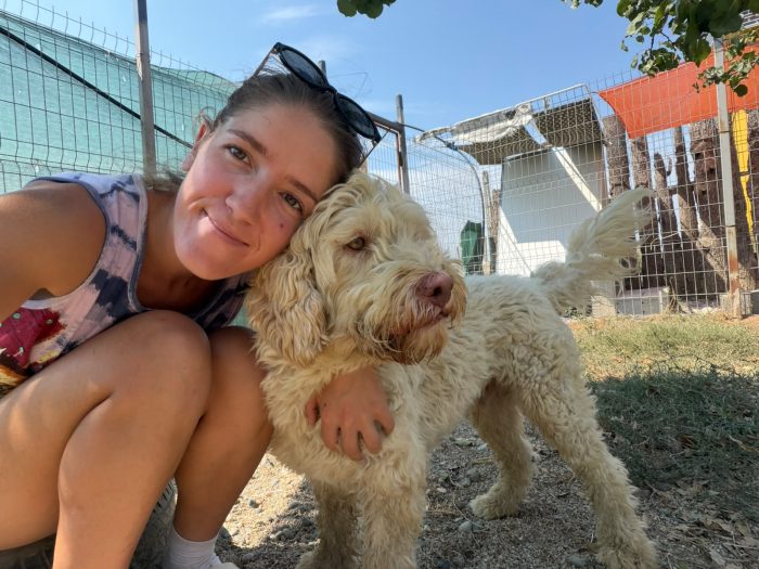 Squid needs a home