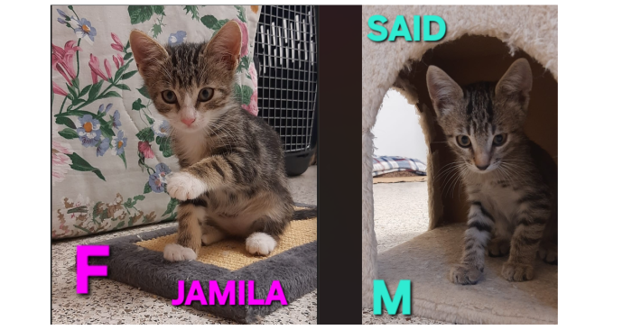 Said & Jamila, salvati da una situazione precaria