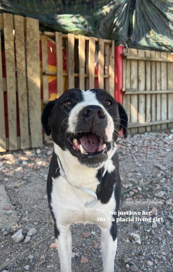 Mamica wants a home
