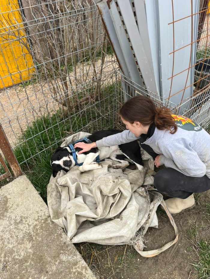 Mamica wants a home - media 4