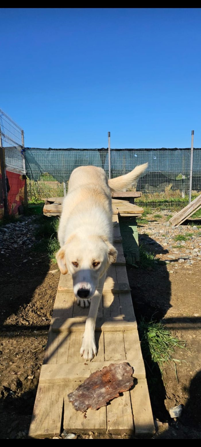 Angie wants a Home