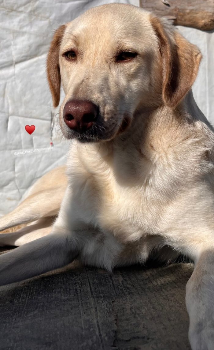 Alberta needs a home