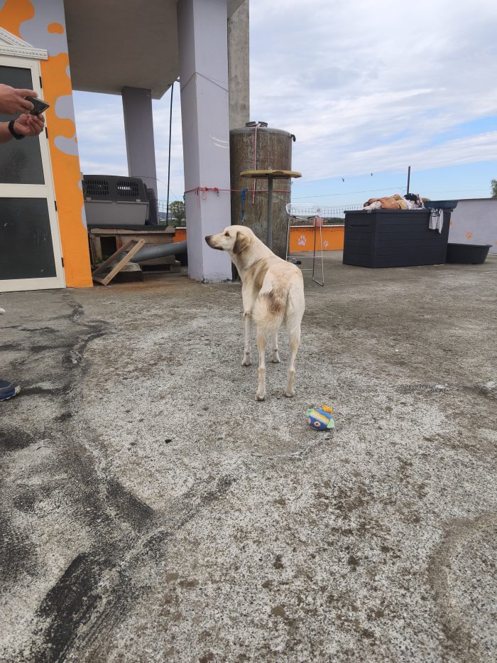 Alberta needs a home - media 9