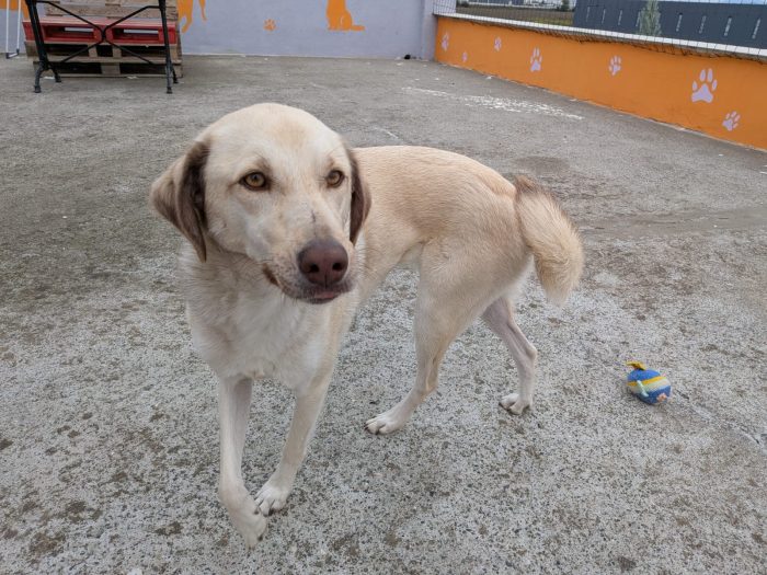 Alberta needs a home