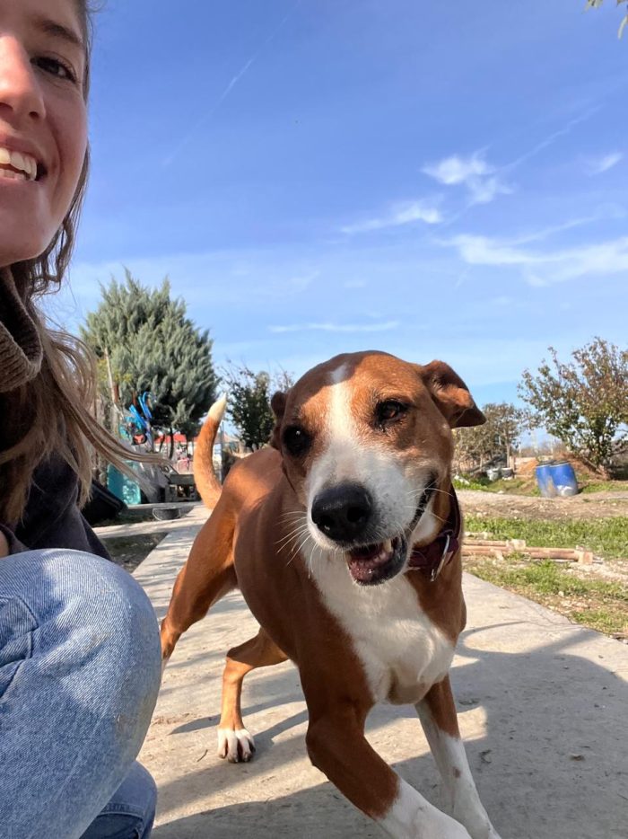 Fanja needs a home - media 8
