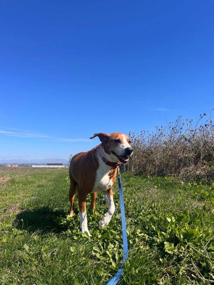 Fanja needs a home - media 9