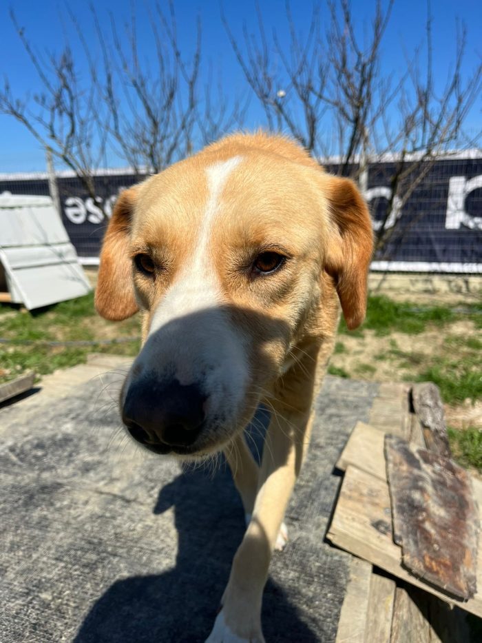 Finy wants a family