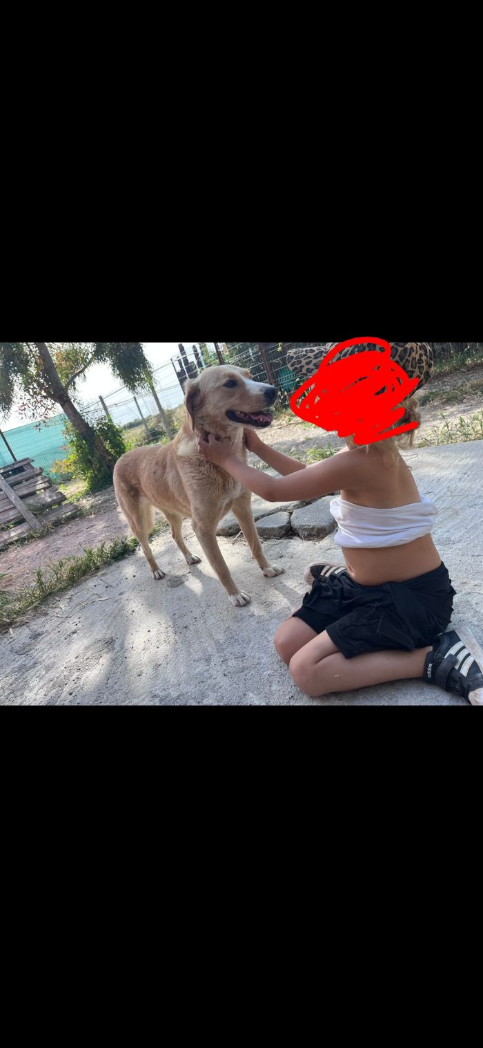 Finy wants a family