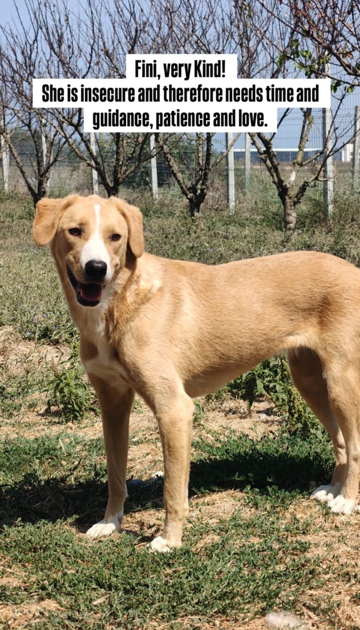 Finy wants a family