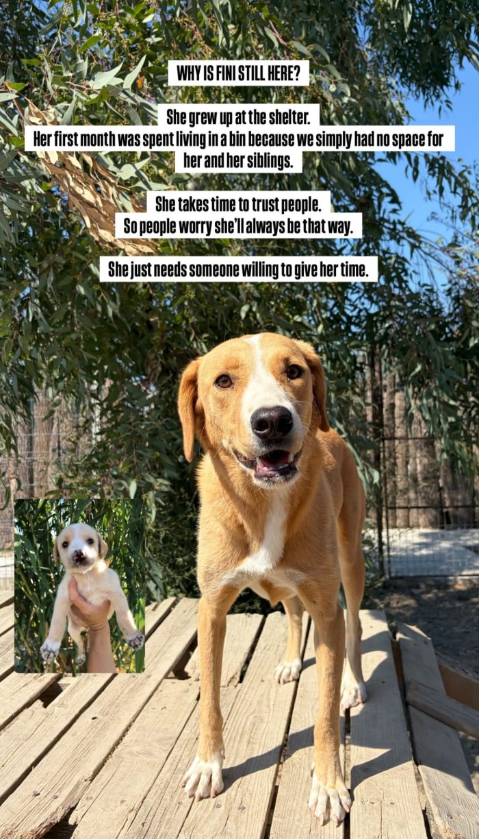 Finy wants a family - media 7