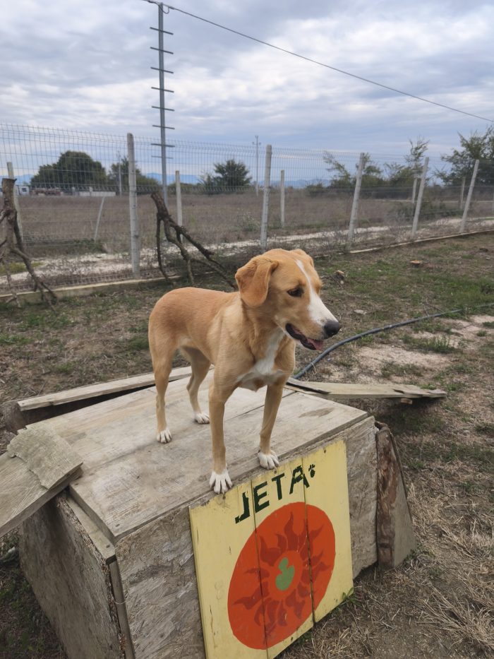 Finy wants a family - media 8