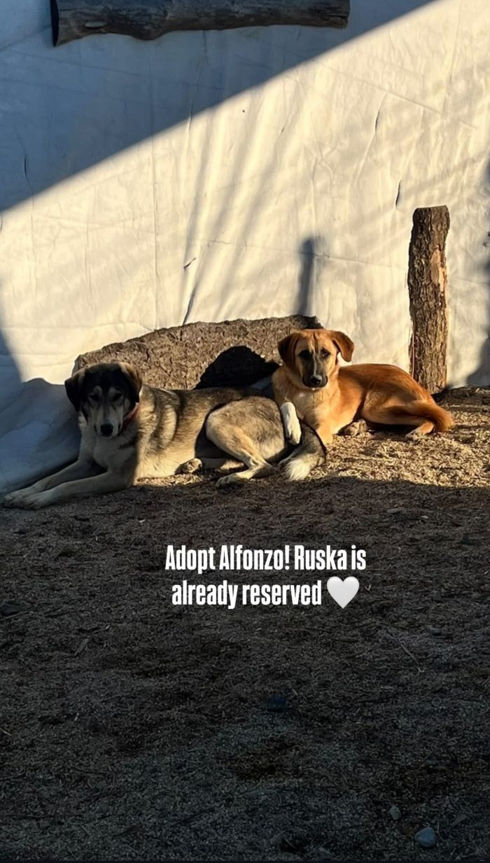Alfonzo wants a home