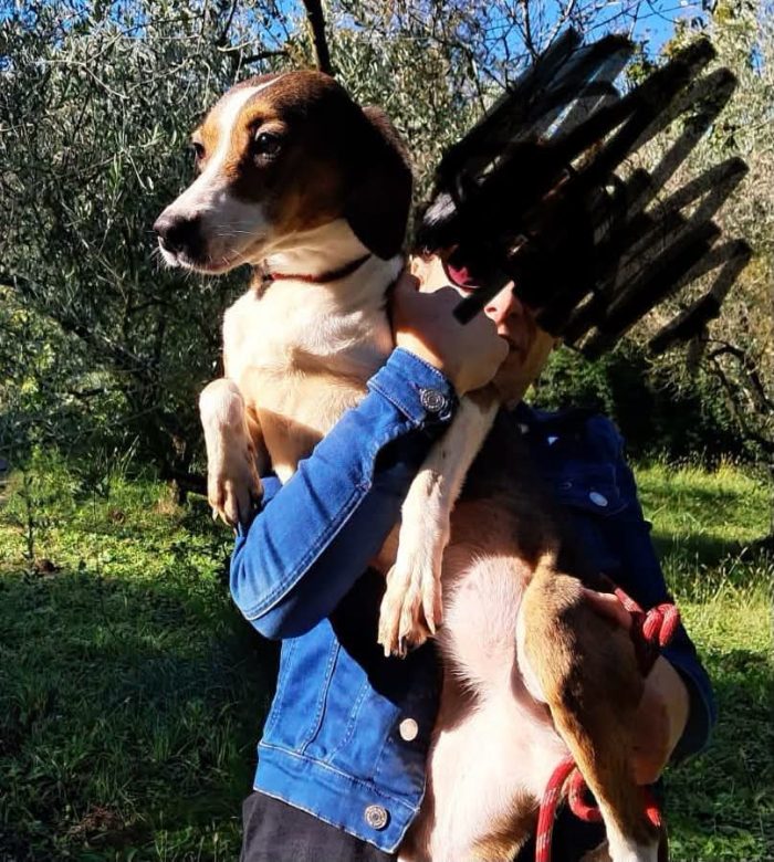 Ariel segugia facciamola uscire dal Box