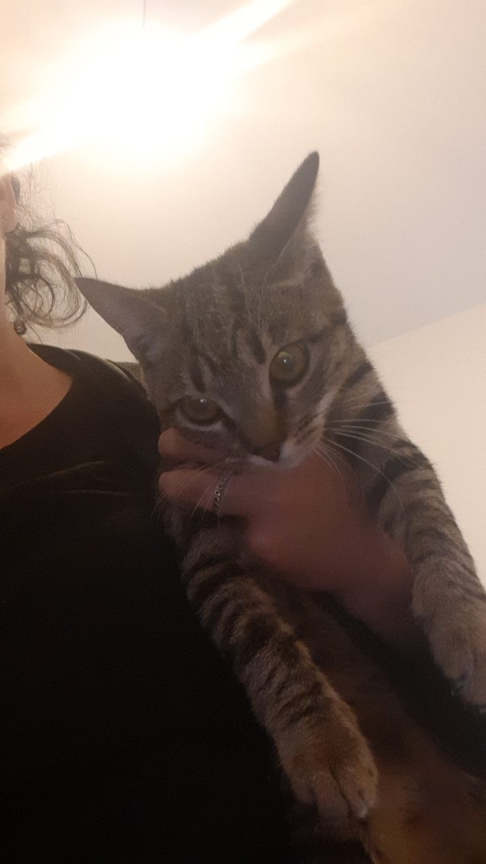 Mia cerca una casina