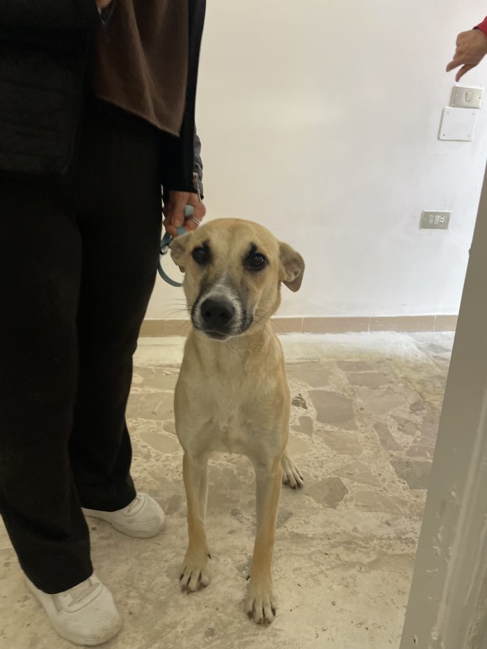 Nami cerca casa