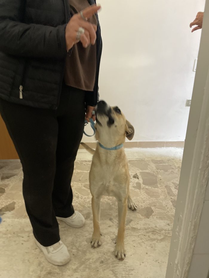Nami cerca casa - media 5