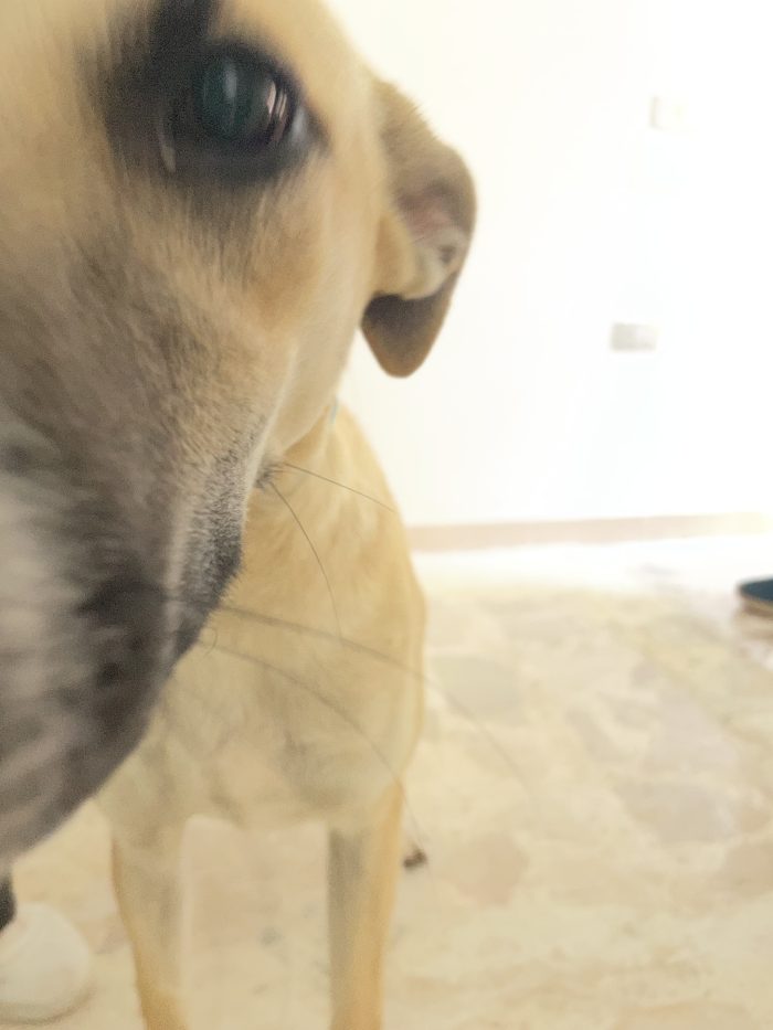 Nami cerca casa - media 7