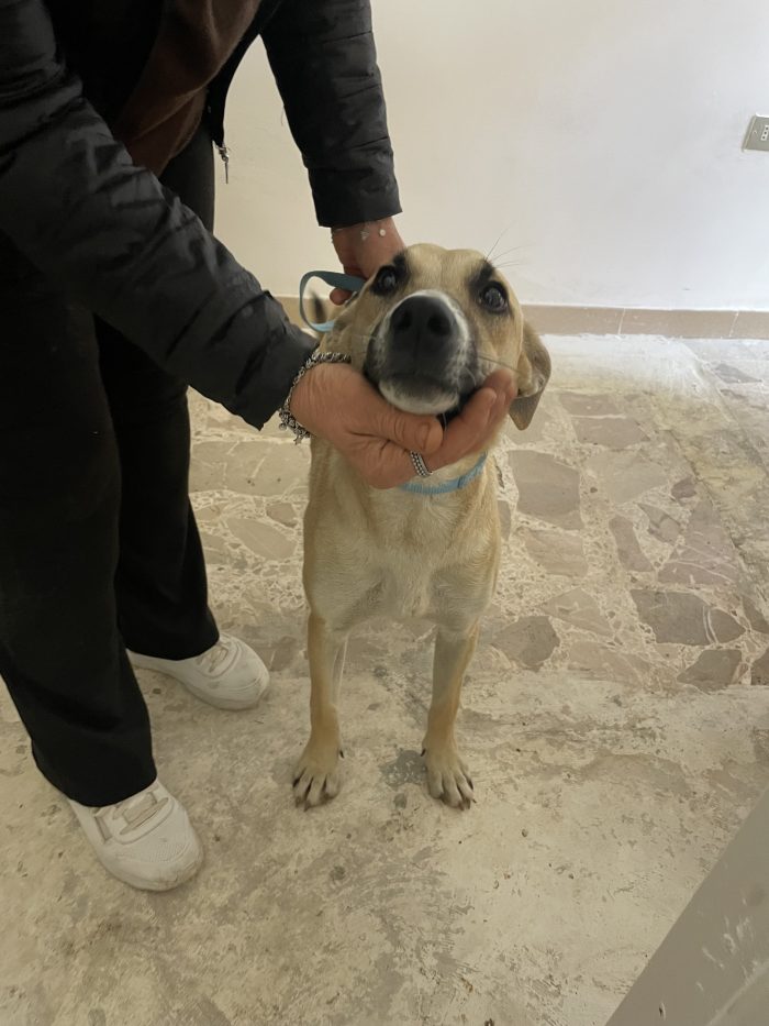 Nami cerca casa - media 8
