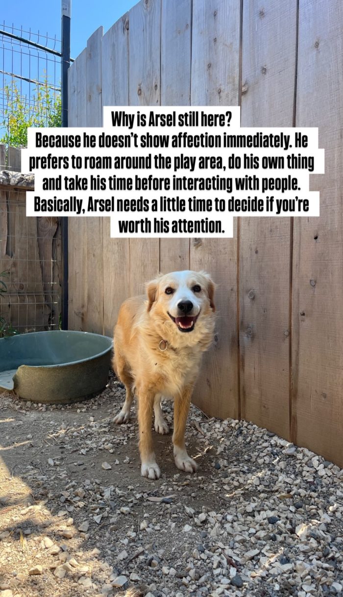 Axel needs a home - media 8