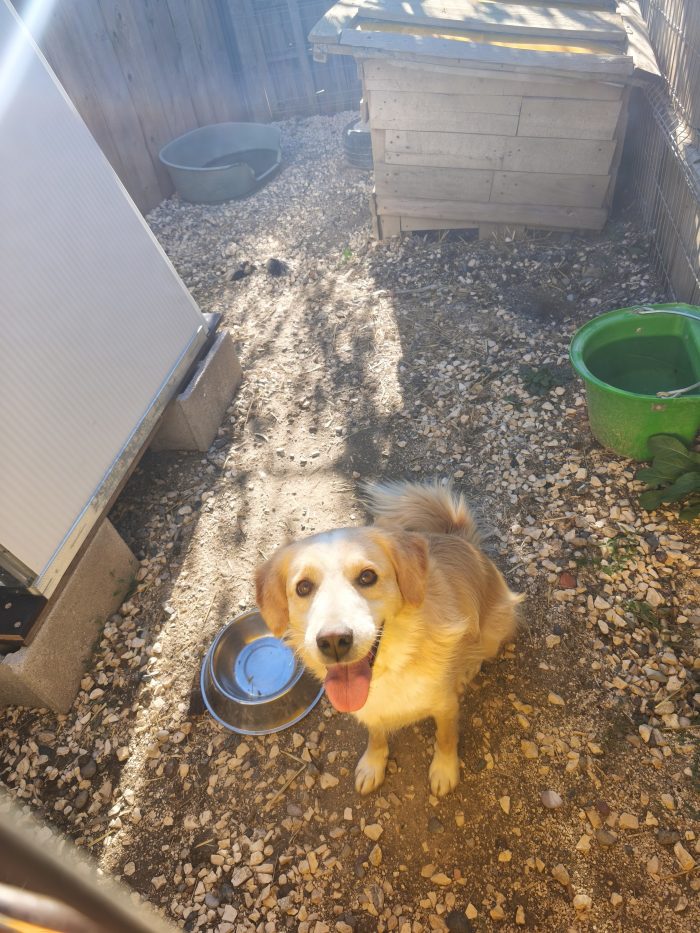 Axel needs a home - media 10