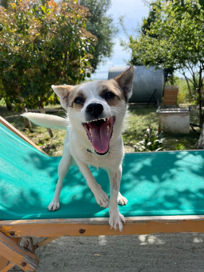 Lizzy wants a home