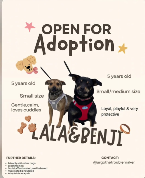 Benji & Lala search a home together
