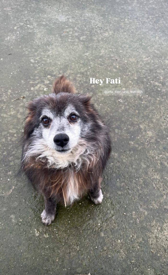 Fati wants a home