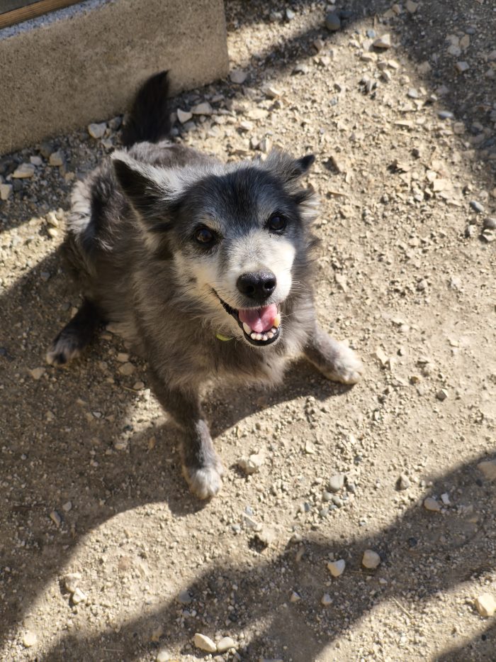 Fati wants a home