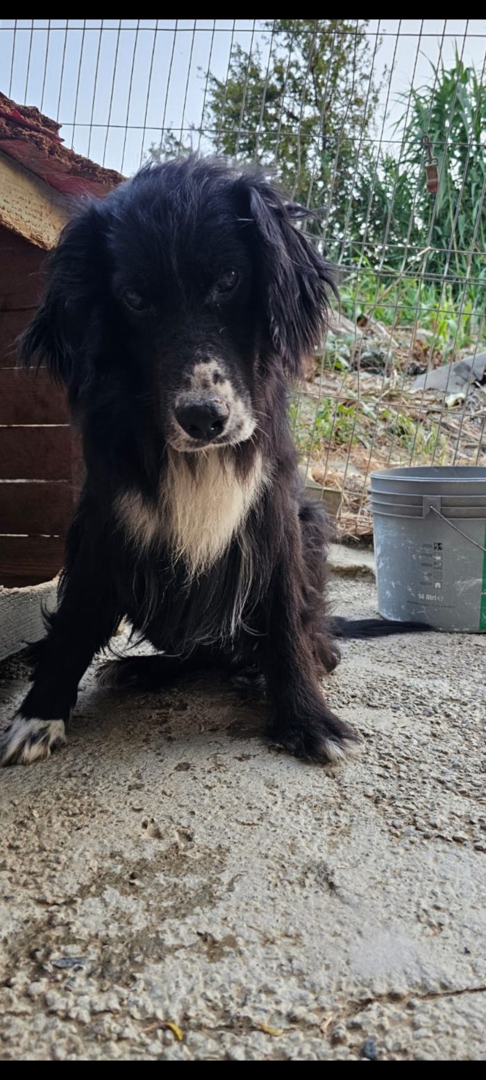 Lori wants a home