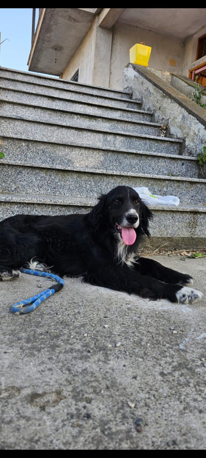Lori wants a home