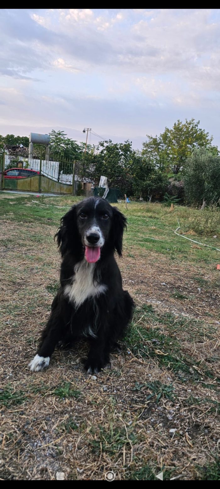 Lori wants a home