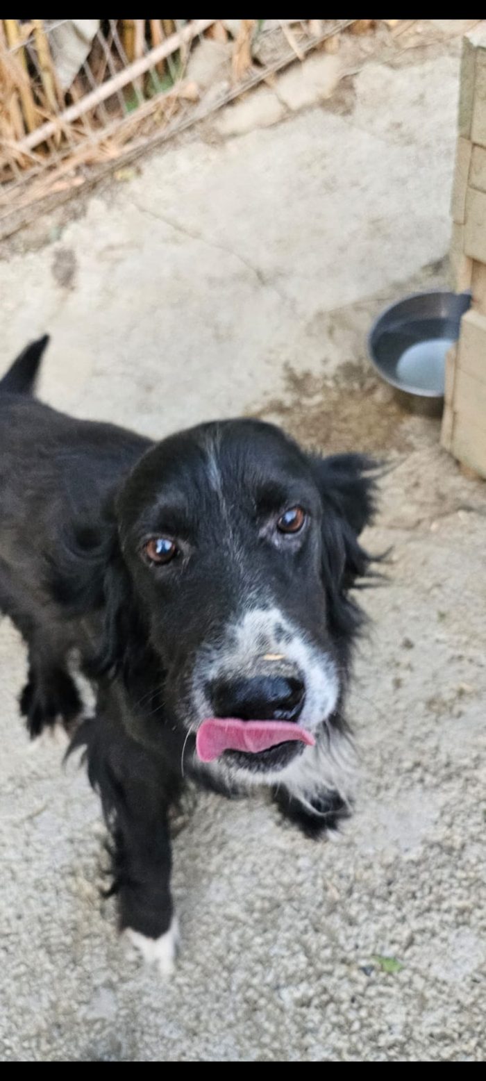 Lori wants a home - media 7