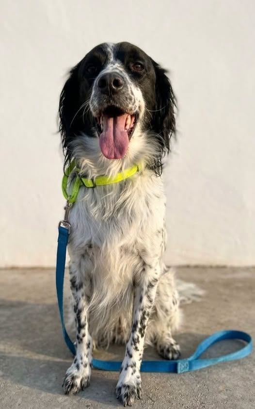 Barolo