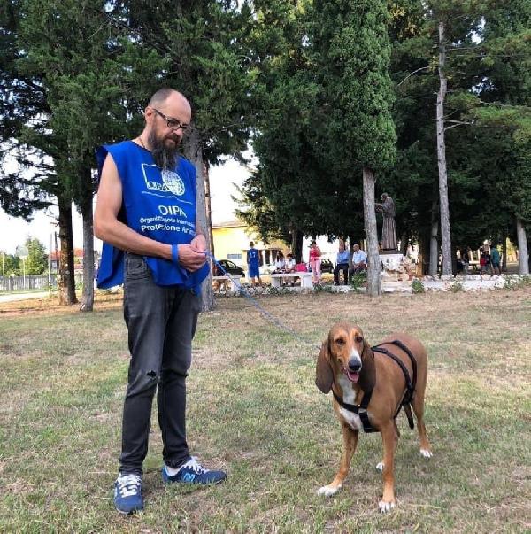 Bella, Una Delle Anime Di Claudio