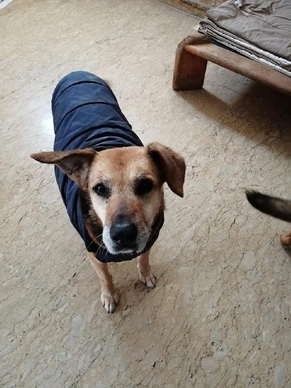 Mary Cerca Casa. 🥰