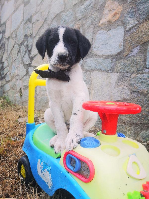 Aggiornamento: In Preaffido Zeus💙