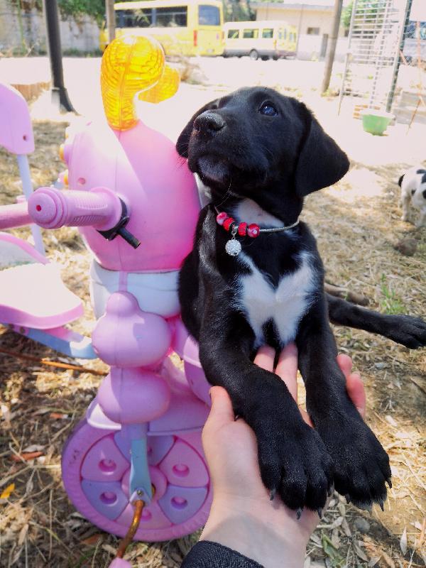 Aggiornamento In Preaffido: Venere💖