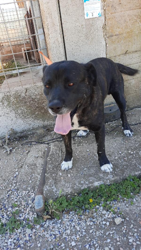  Lucky: 4 Anni Buono Con Tutti 