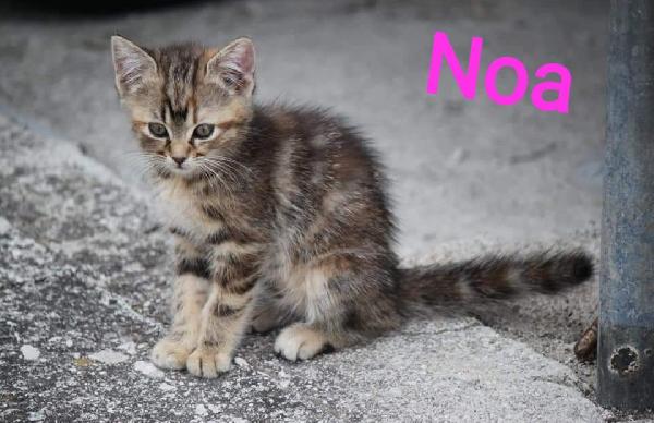 E Queste Meraviglie??? Dove Le Mettiamo?? 😍😍😍