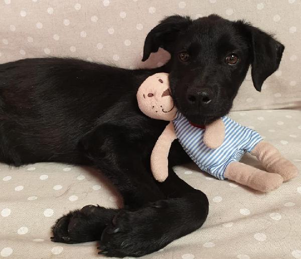 Gilda Bellezza Total Black