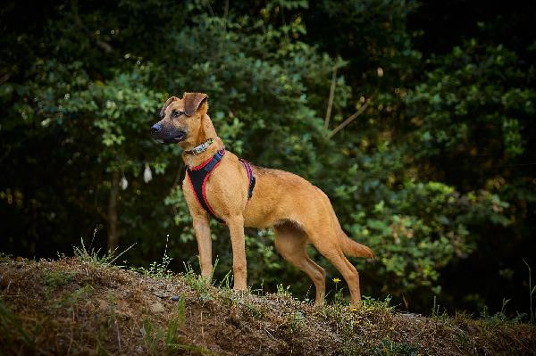 Laguna Cerca Coccole