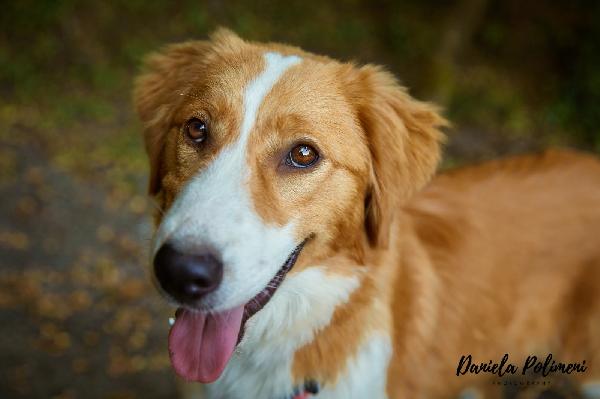Cocco....cocco Bello!!!!!!!