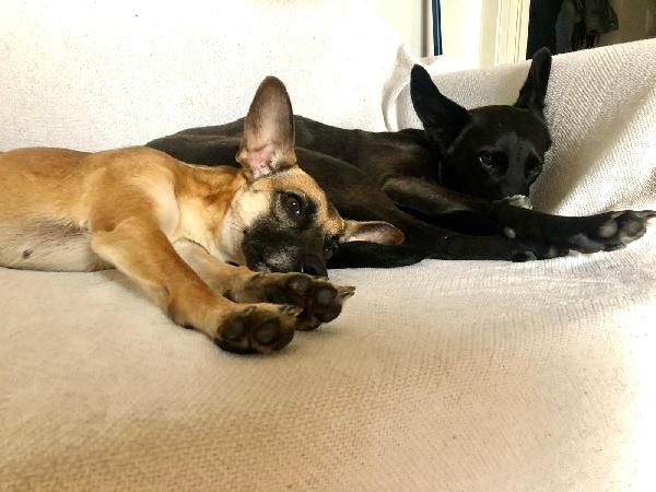 MILLI e OLIVIA CERCANO CASA INSIEME Foto 5