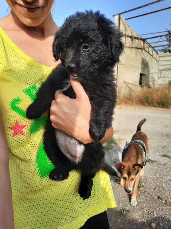 Chicca: Taglia Piccola 3 Mesi