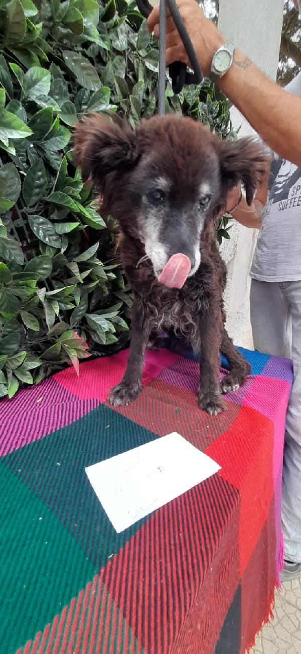 Nonna Lulù Una Vita Nella Disperazione 