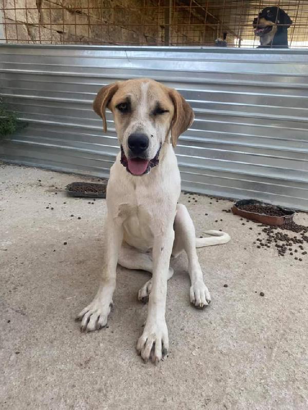 Barbie, Taglia Grande! (9 Mesi)