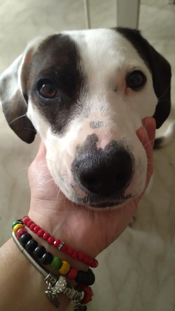 Tala cerca casa Foto 3