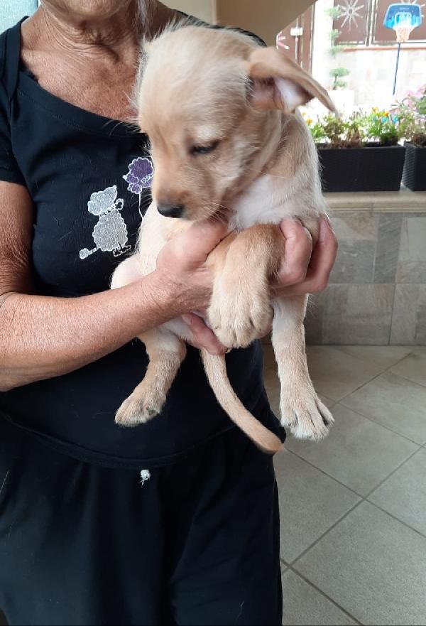 Cindy: 2 Mesi Taglia Media 