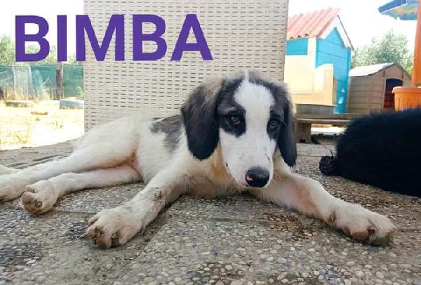 Bimba, Taglia Media!