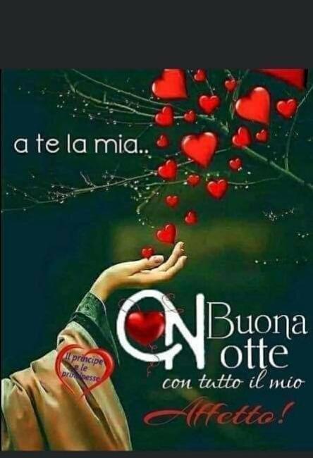 Or fanelli cercano famiglia x la vita - media 3